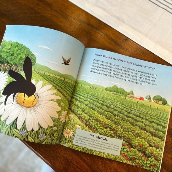 3 Book Bundle Focus on Bees for Learning Project or Homeschool TPT - Picture 7 of 7